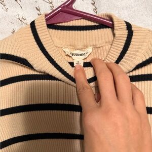 Beige and Black Striped Turtleneck Sweater